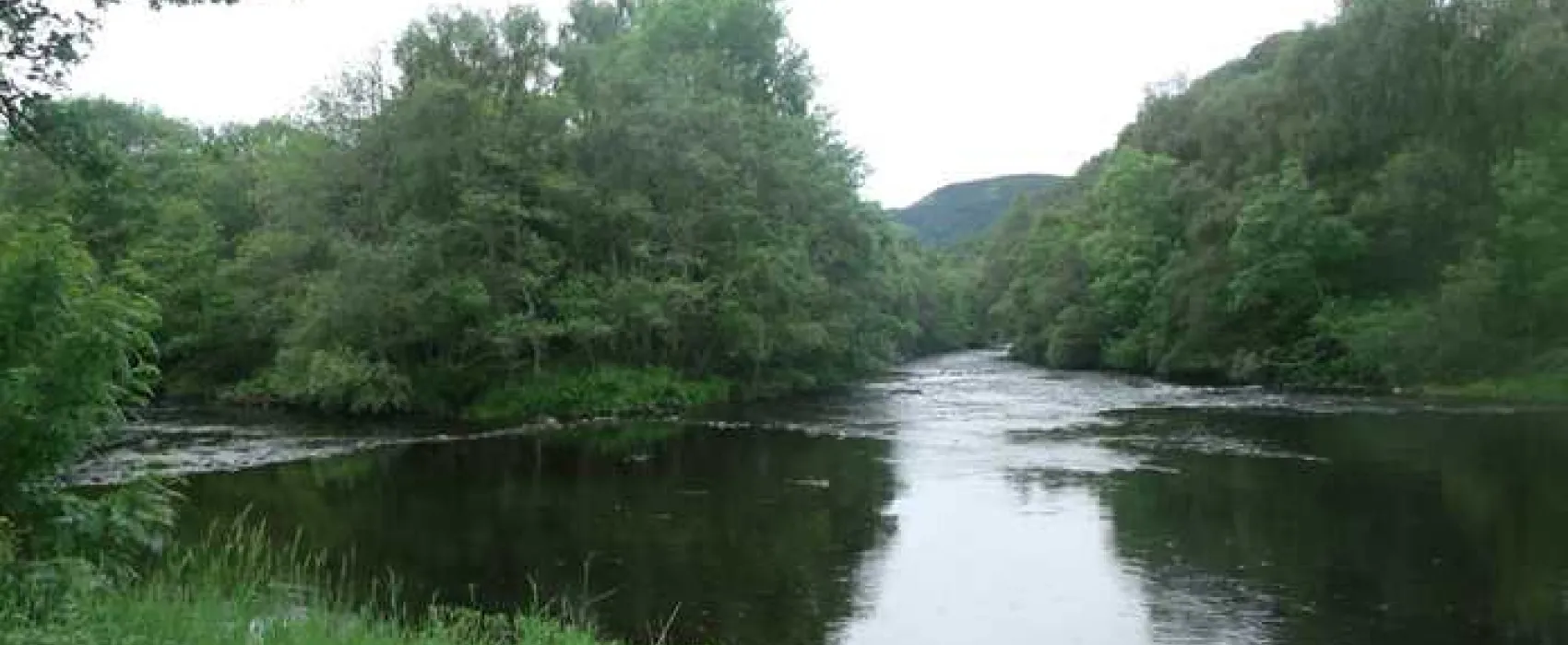 Riverside Chalet and Caravan Park