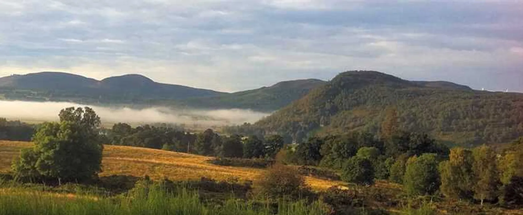 Riverside Chalet and Caravan Park