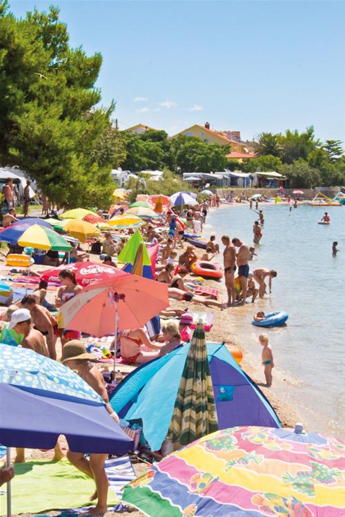 Camping Padova III photo 3