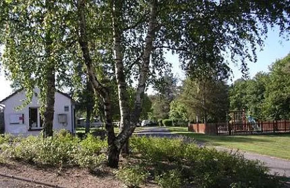 Camping Municipal Font Bonne