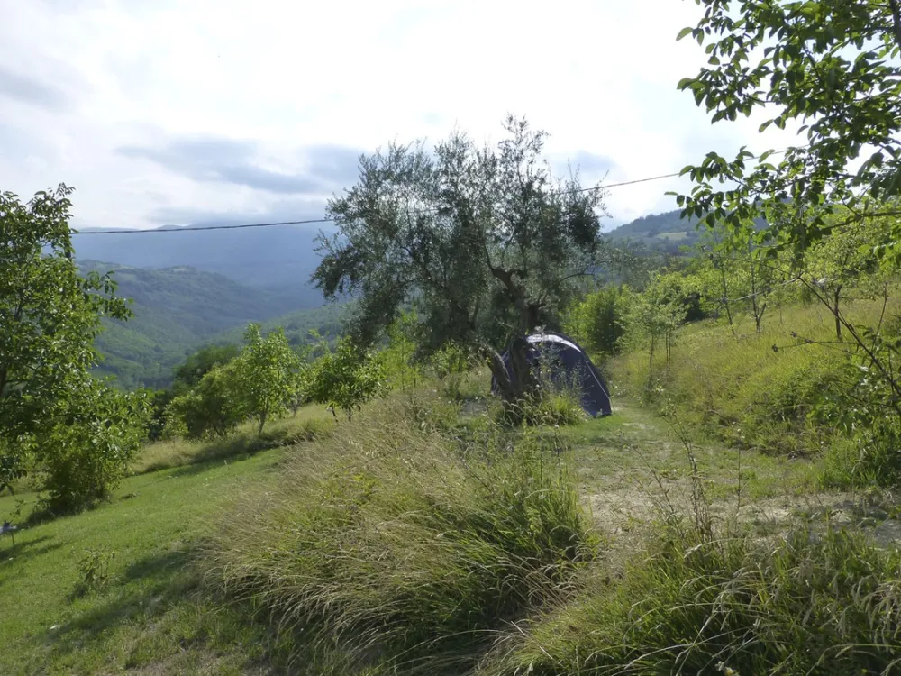 Minicamping Rocca di Sotto