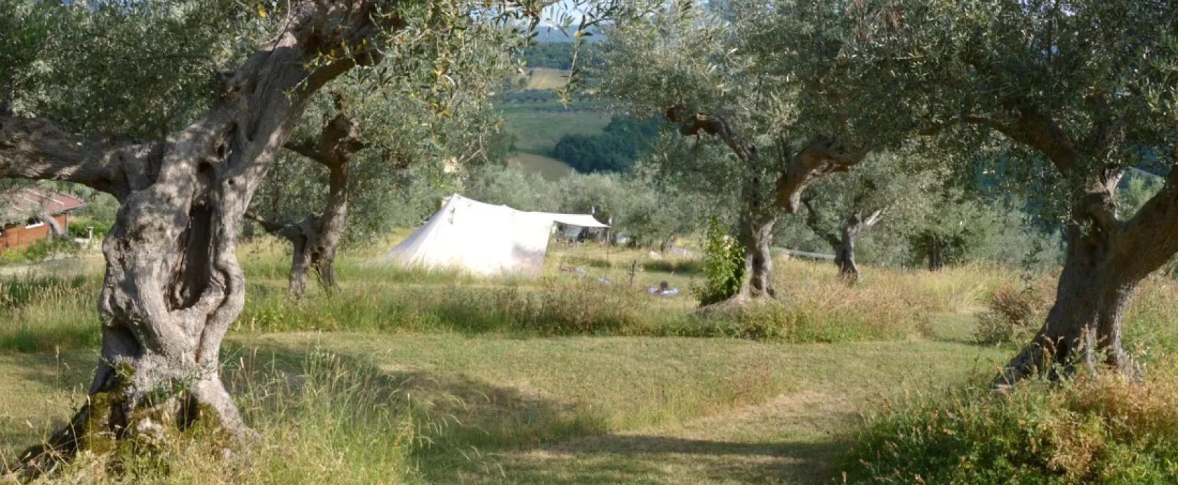 Minicamping Rocca di Sotto