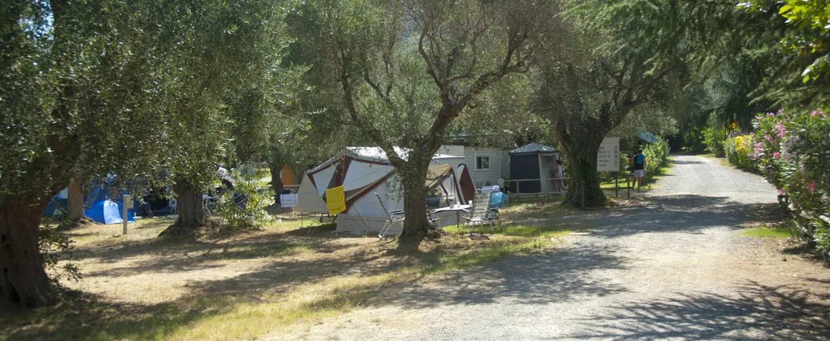 Camping Village Il Fontino