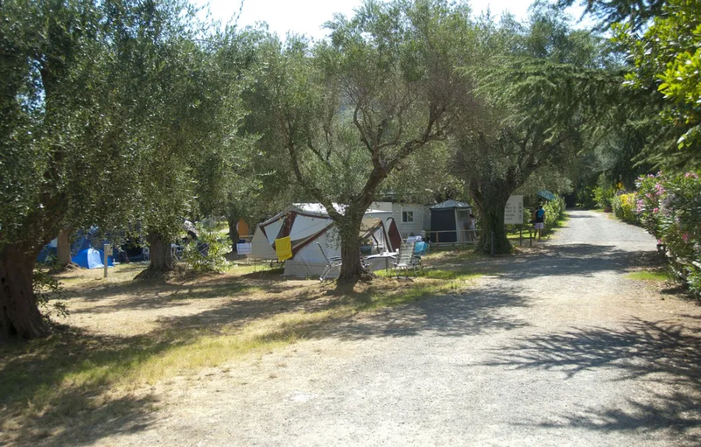 Camping Village Il Fontino