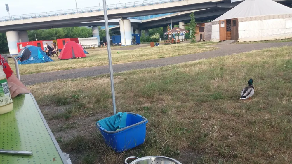 Campingplatz Jena unter dem Jenzig