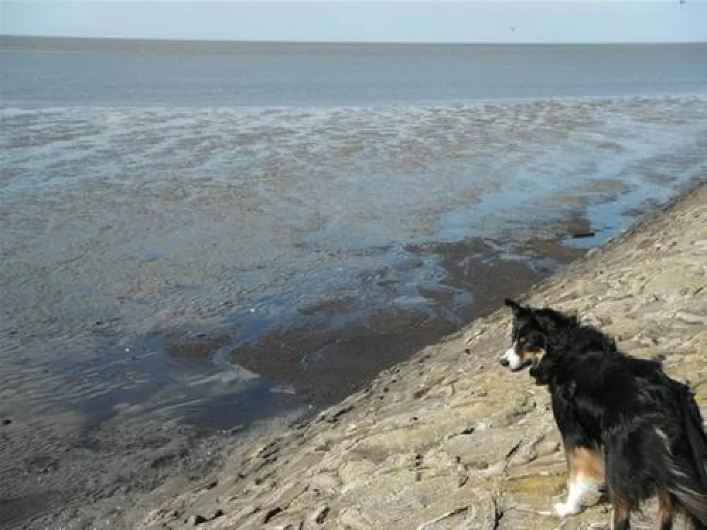 Camping am Deich - Nordsee