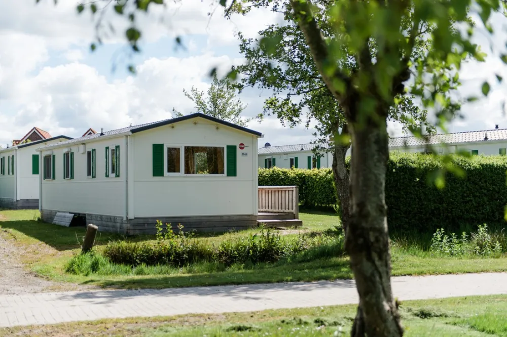 Camping am Deich - Nordsee