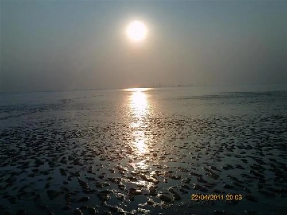 Camping am Deich - Nordsee