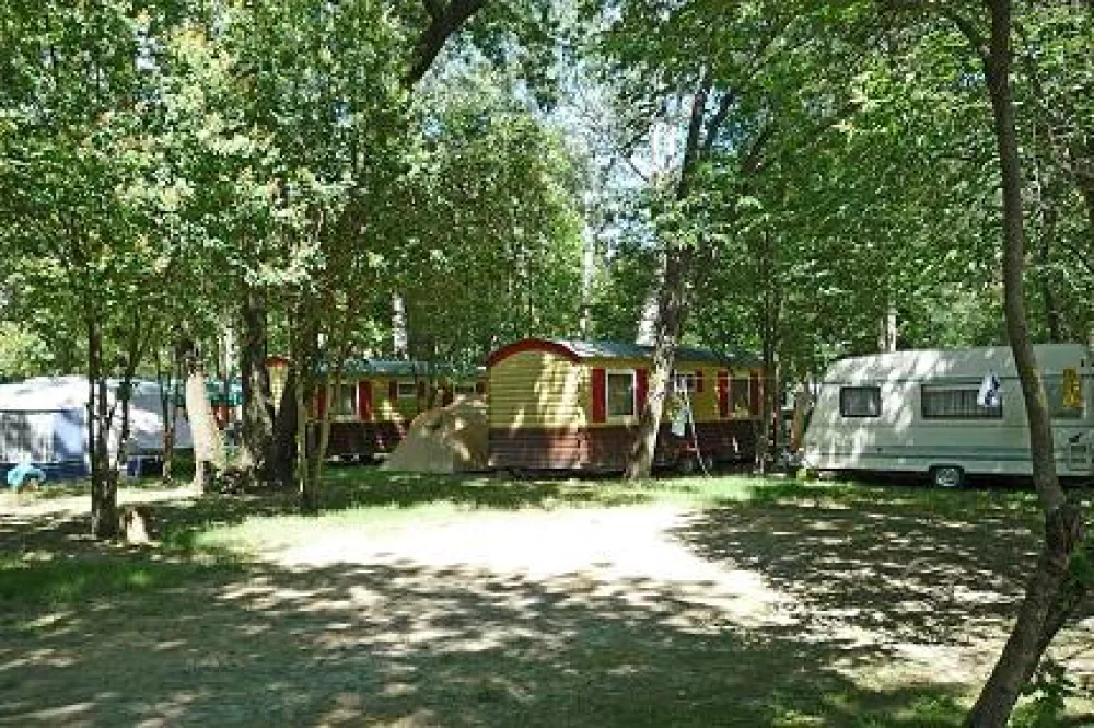 Camping Le Lion