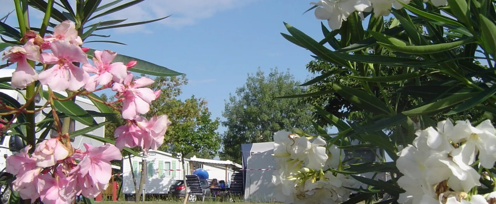 Camping Le Pin Parasol