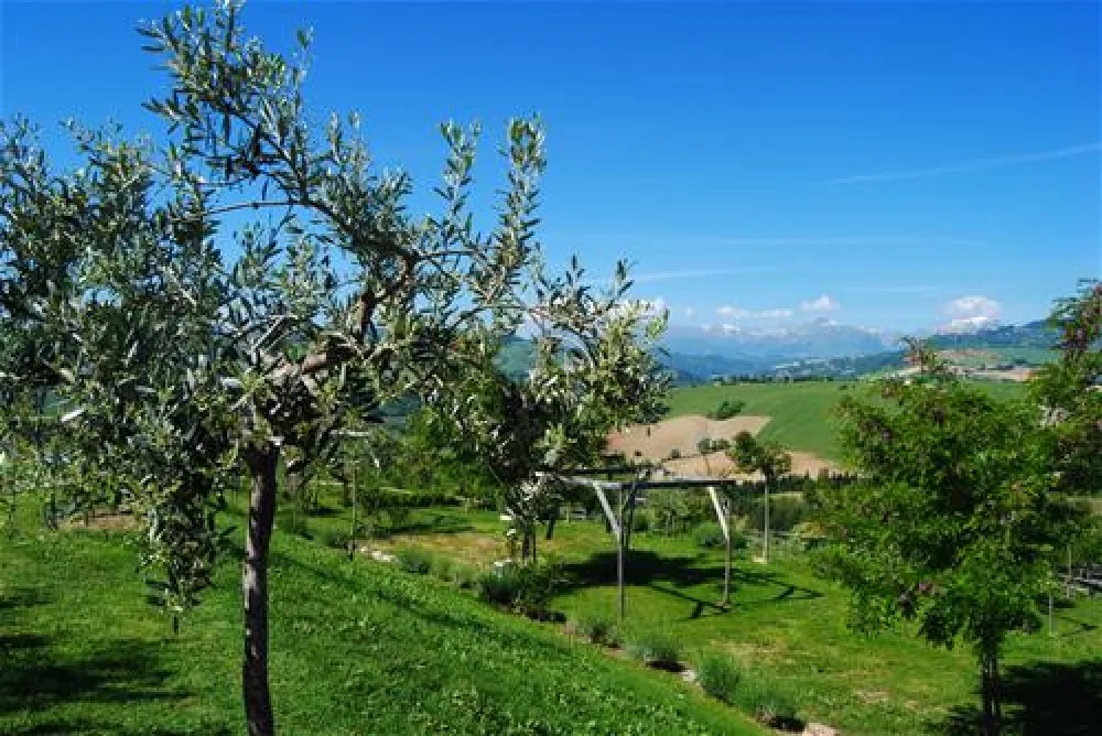 Agri Camping Tasteria