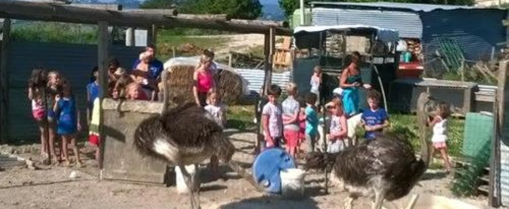 Agri Camping Tasteria