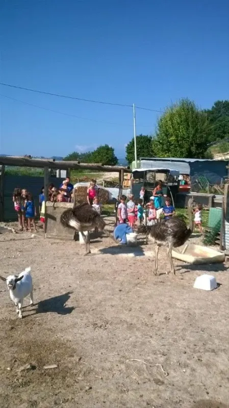 Agri Camping Tasteria