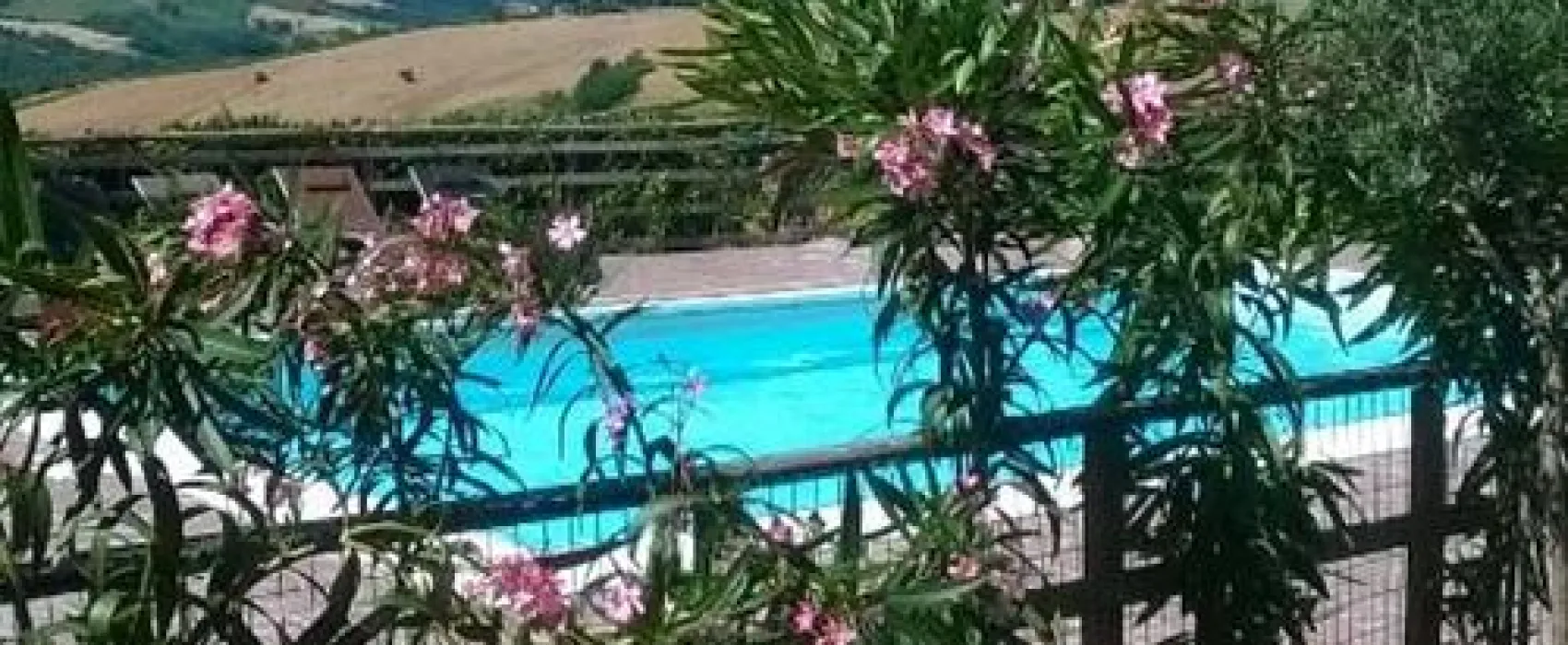 Agri Camping Tasteria