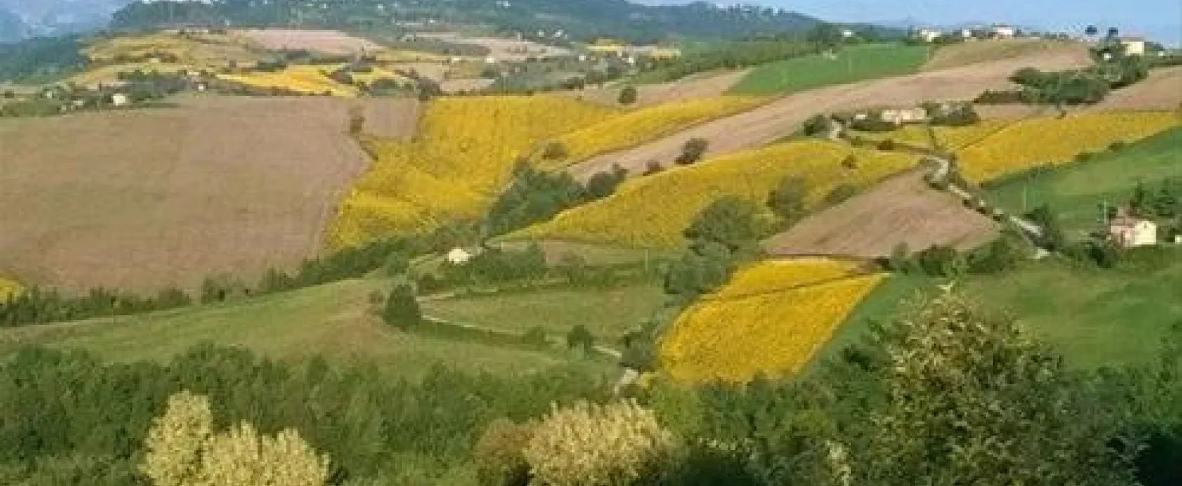 Agri Camping Tasteria