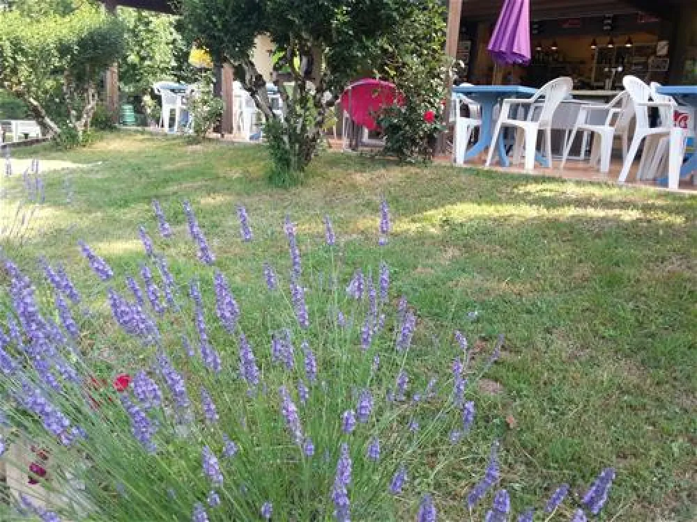 Flower Camping - Le Pontet  