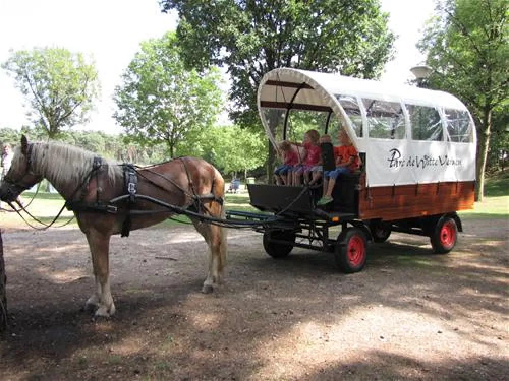 ParcCamping de Witte Vennen