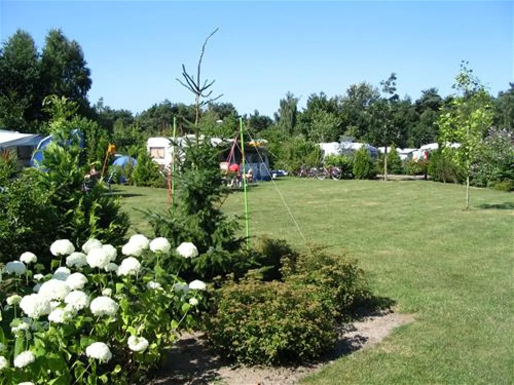 ParcCamping de Witte Vennen