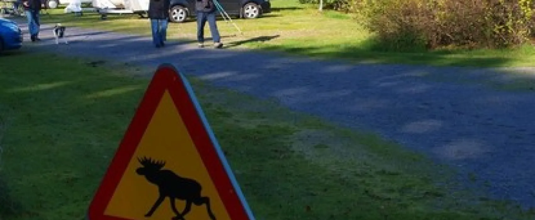 Torne Camping & Fiskecamp