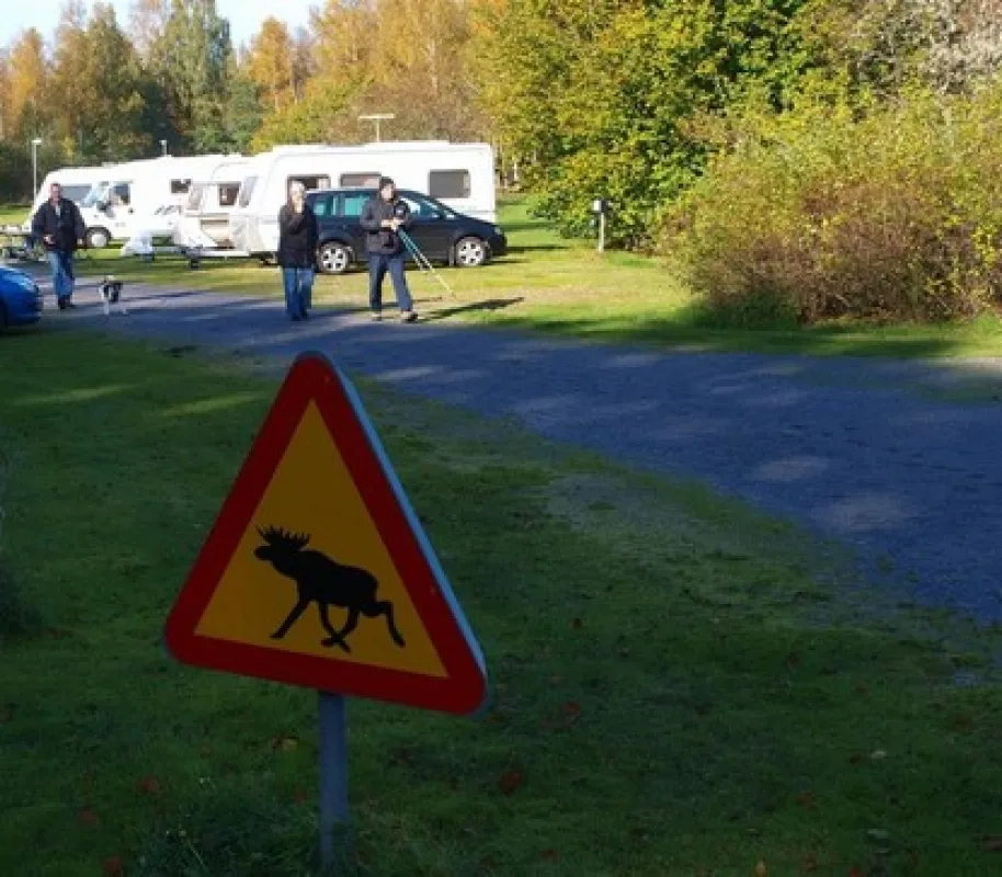 Torne Camping & Fiskecamp