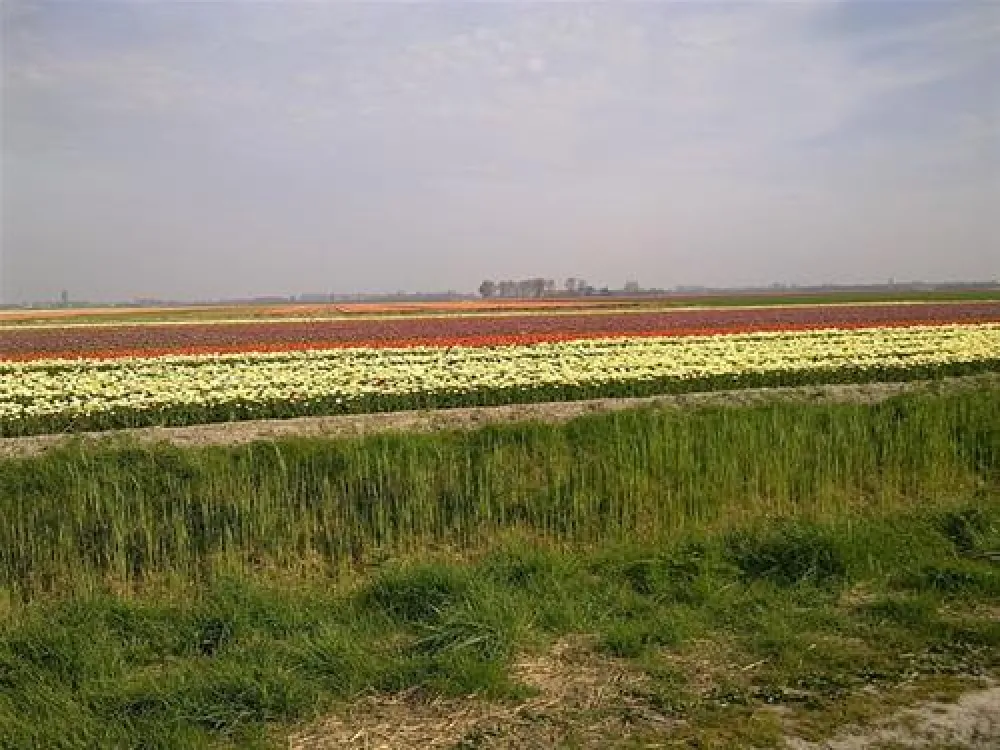 Camping De Grevelingen