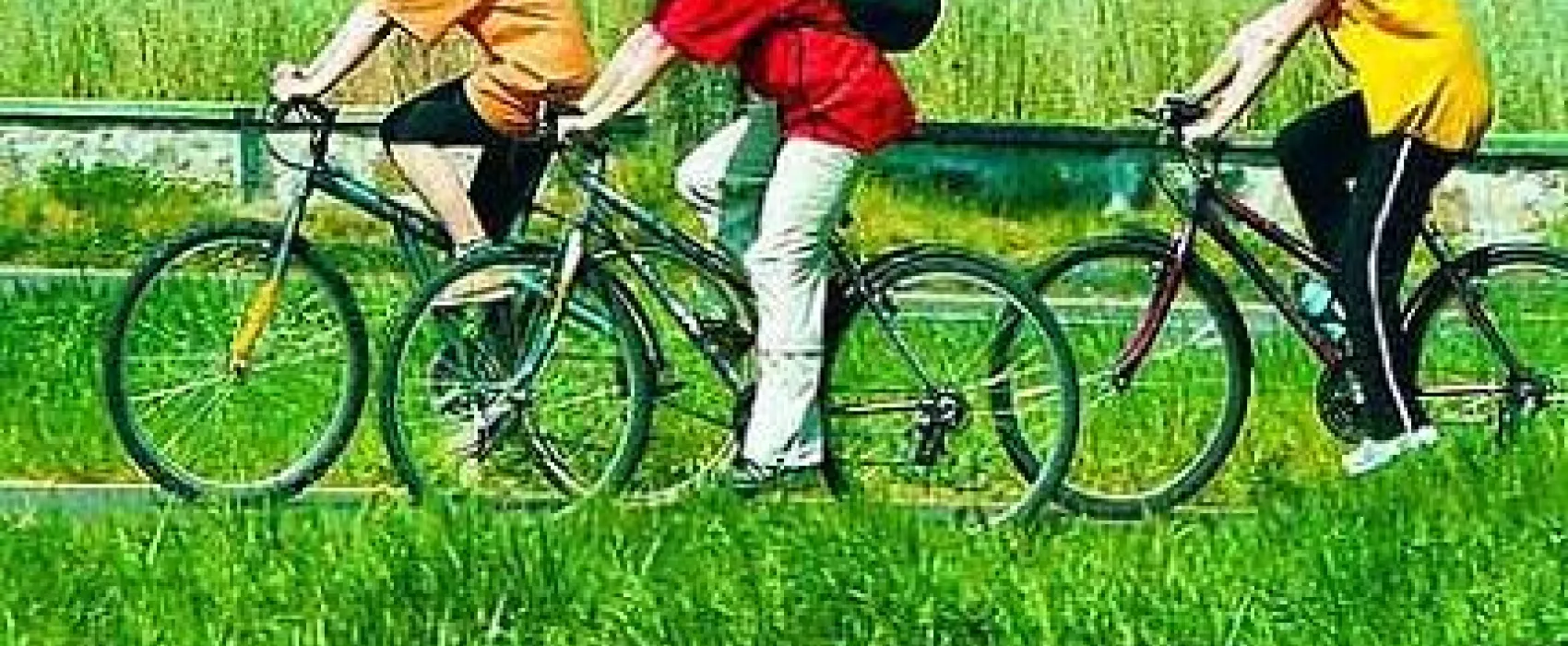 Balatontourist Camping & Bungalows Zala