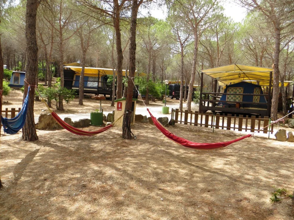 Amfibie Treks - Mandras