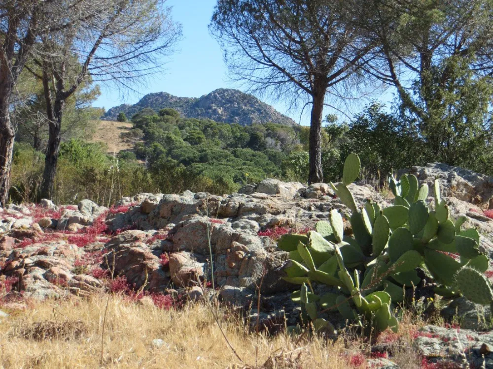 Amfibie Treks - Mandras