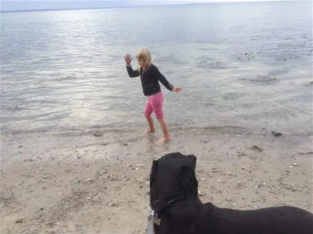 Skovlund Camping Middelfart