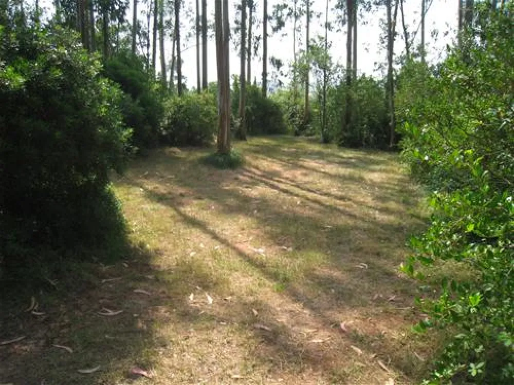 Parque de Campismo Rural da Silveira