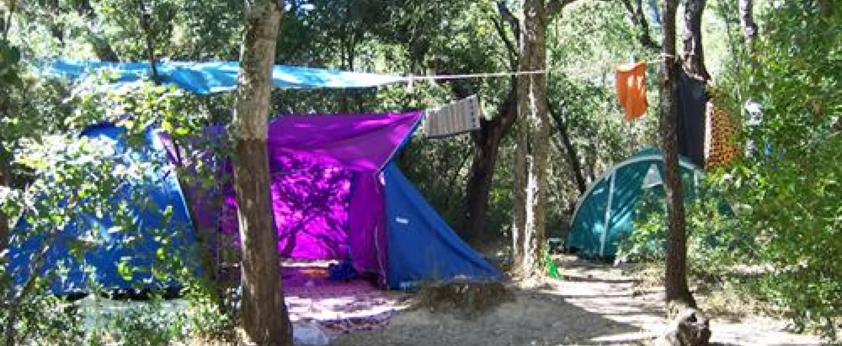 Parque de Campismo Rural da Silveira