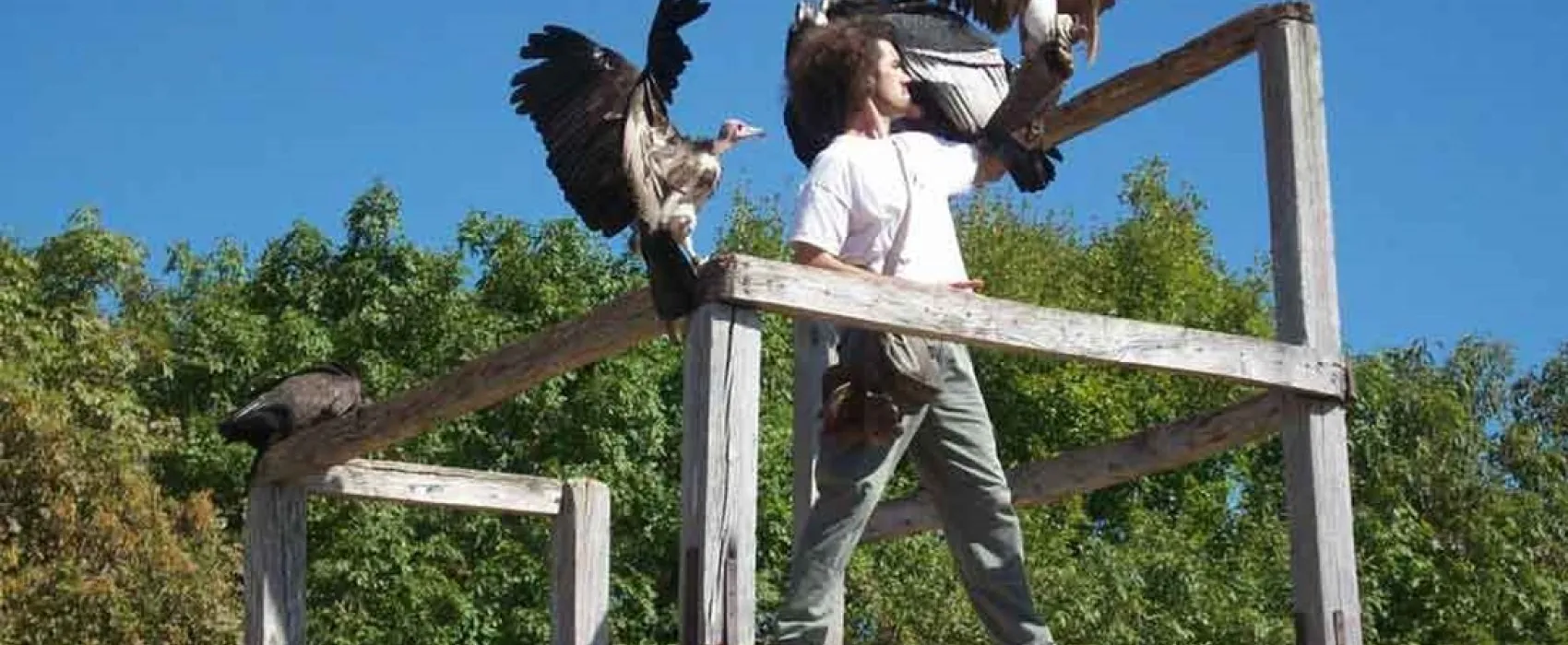 Camping Le Relais Du Campeur