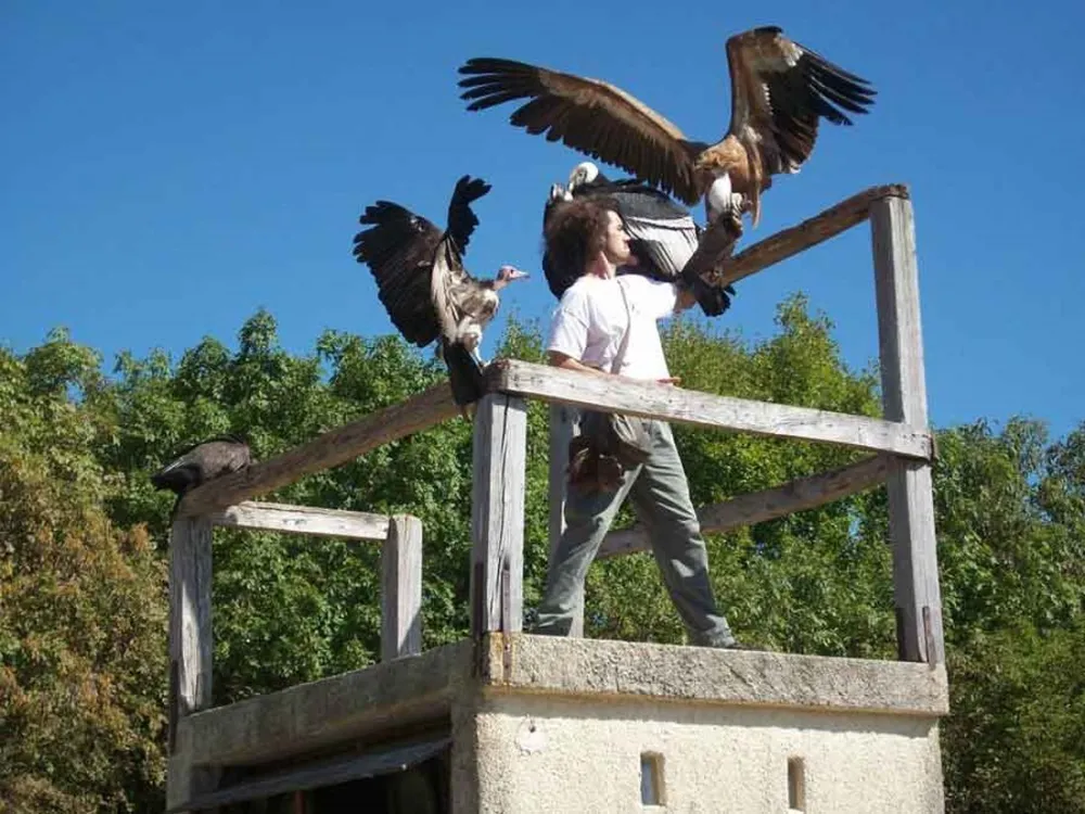 Camping Le Relais Du Campeur