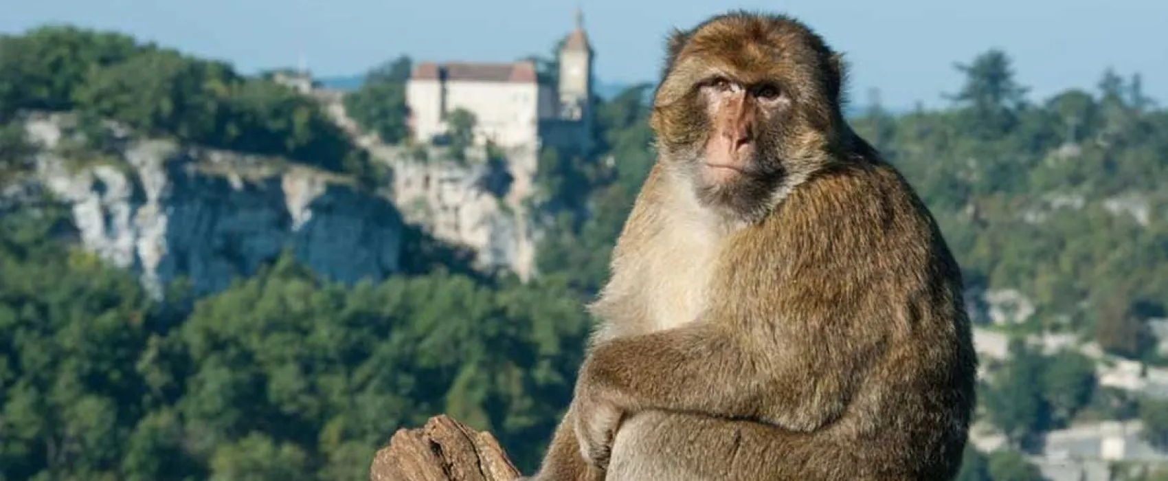 Camping Le Relais Du Campeur