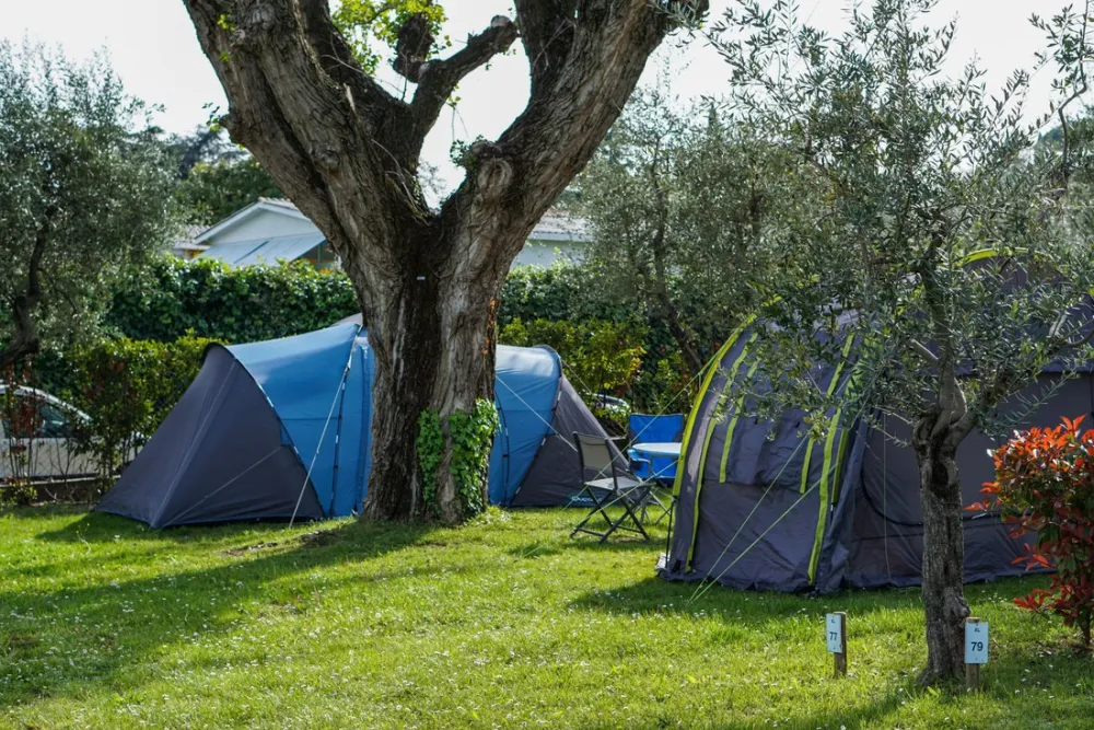 Campeggio Europa Silvella