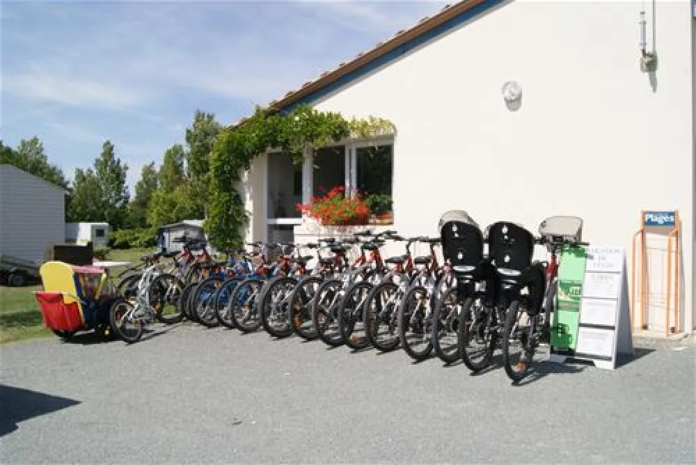 Flower camping - Lac de Saujon