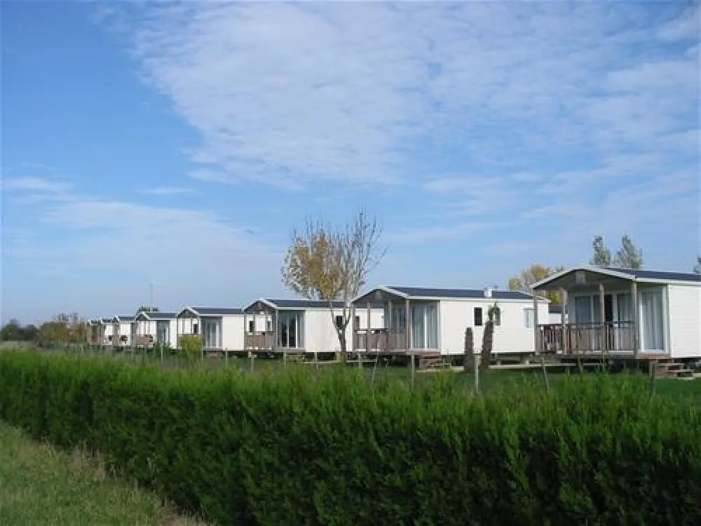 Flower camping - Lac de Saujon