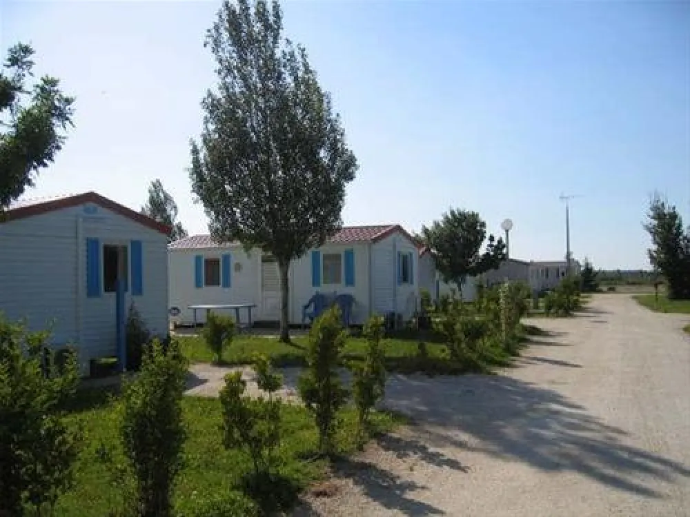 Flower camping - Lac de Saujon