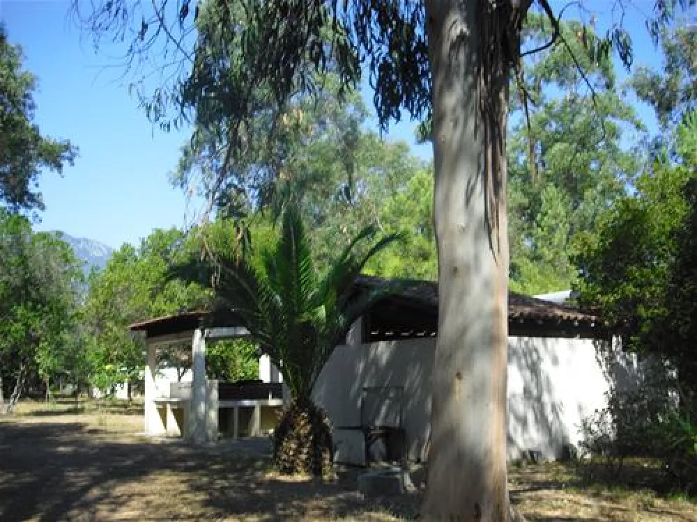 Camping Olmello
