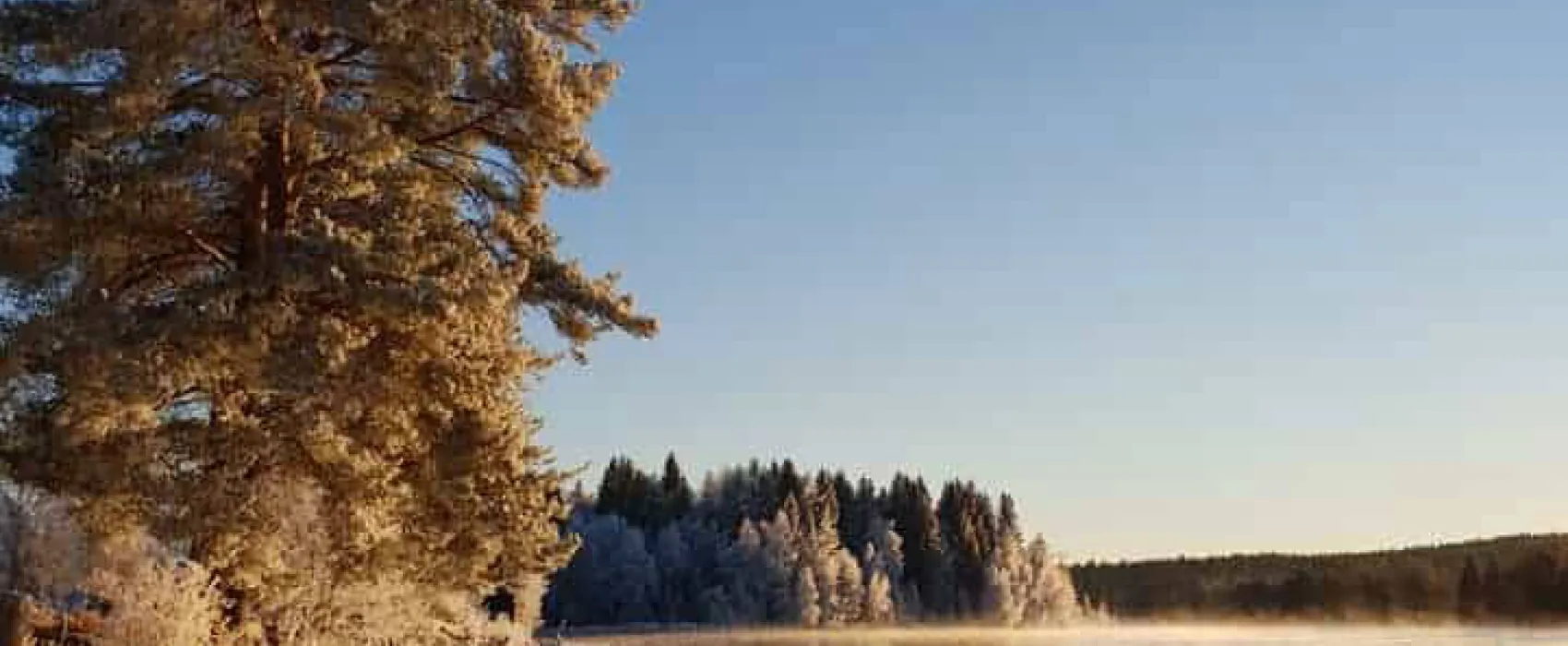 Älvdalens Fiskecenter och Camping