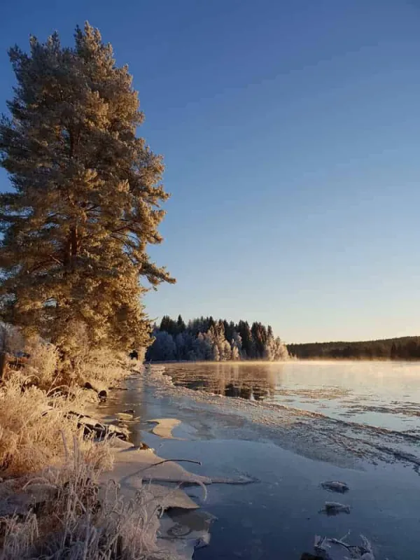 Älvdalens Fiskecenter och Camping