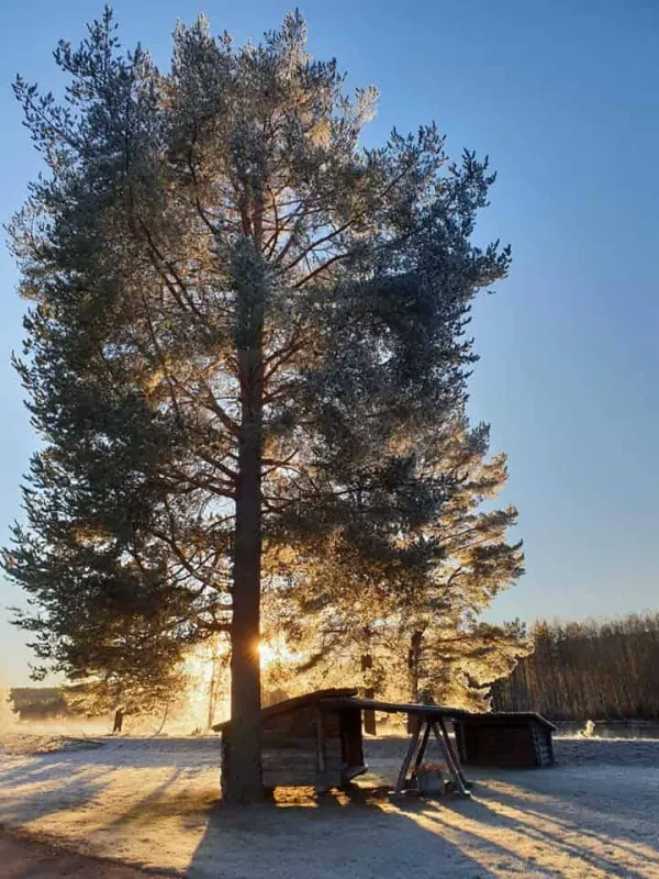 Älvdalens Fiskecenter och Camping