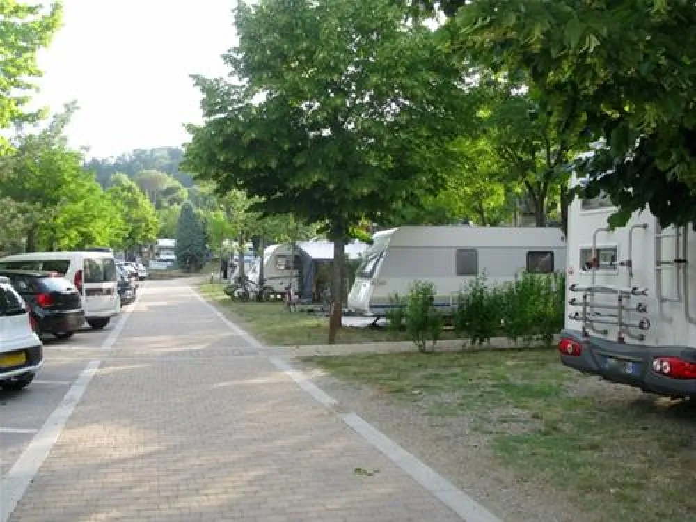 Campeggio Norcenni Girasole Club