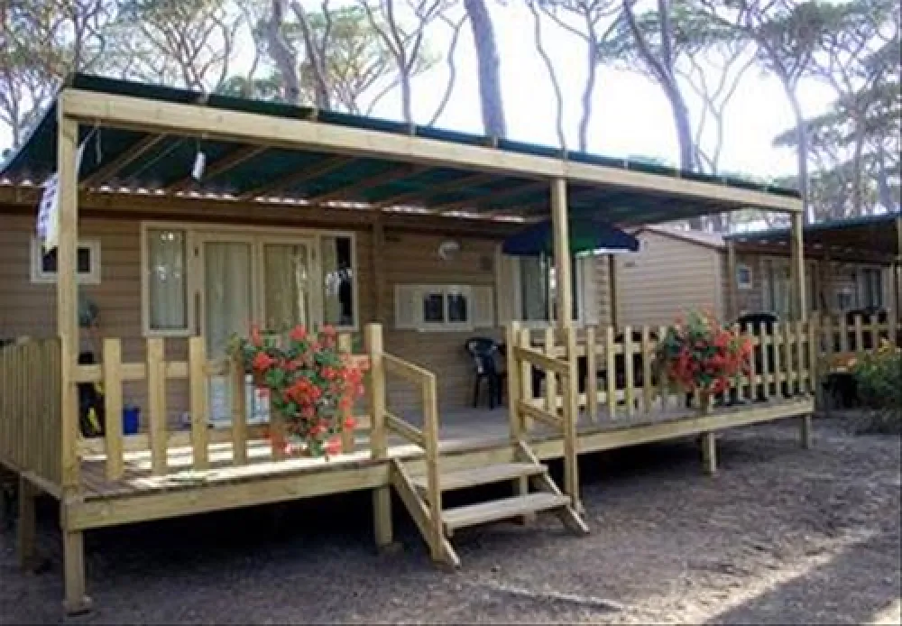 Campeggio Norcenni Girasole Club