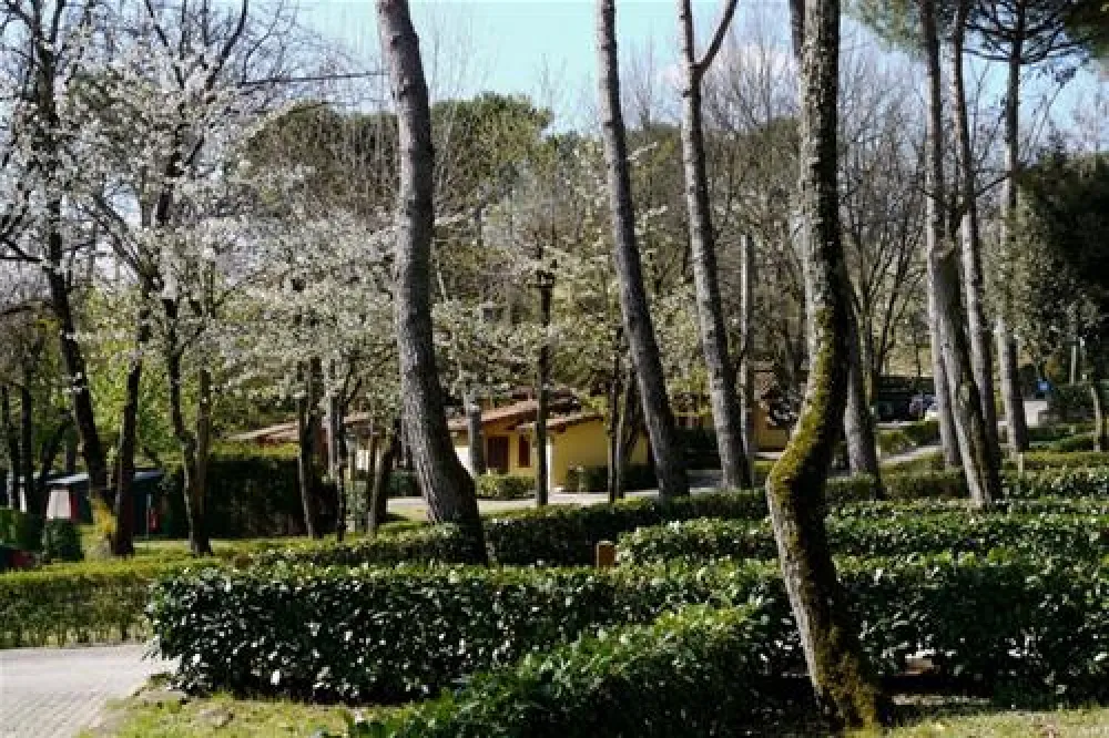 Campeggio Norcenni Girasole Club