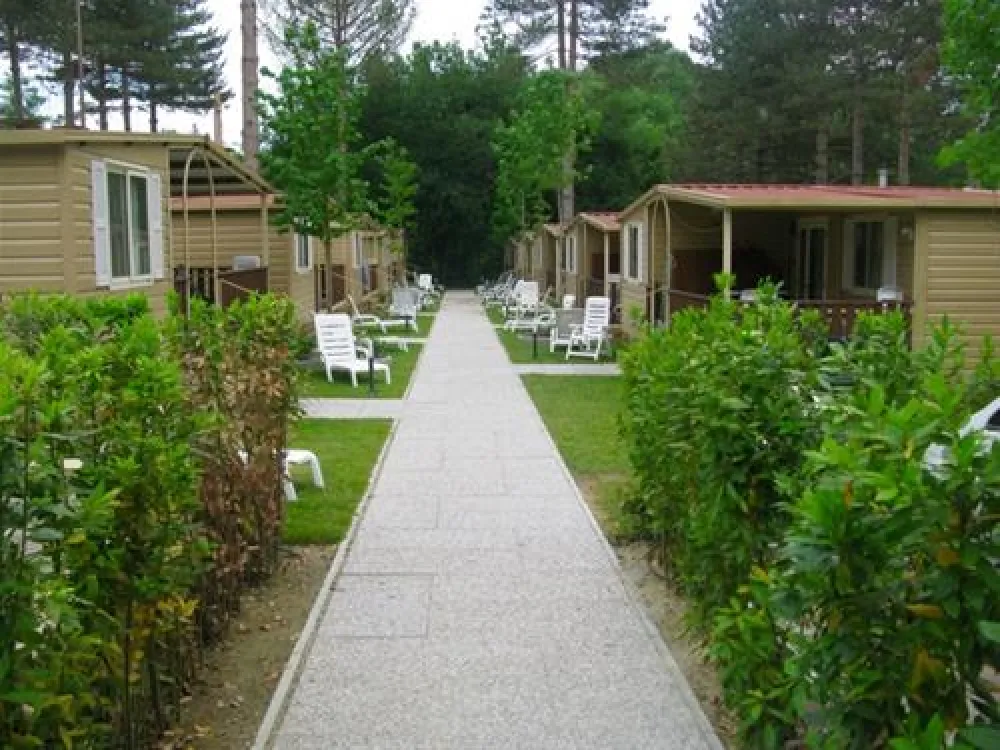 Campeggio Norcenni Girasole Club