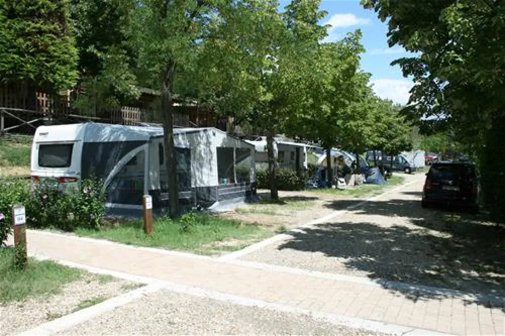 Campeggio Norcenni Girasole Club