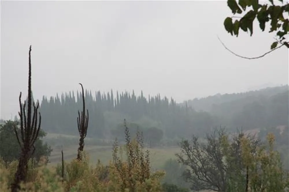 Campeggio Norcenni Girasole Club