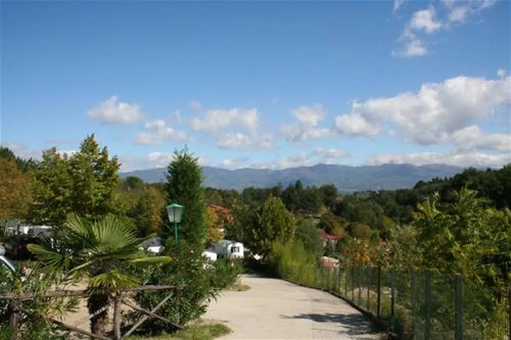 Campeggio Norcenni Girasole Club