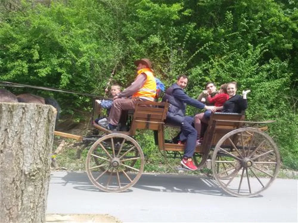 Discover Bihac Rafting Center.